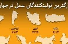 اینفوگرافیک / ایران در رده سوم تولید عسل در جهان