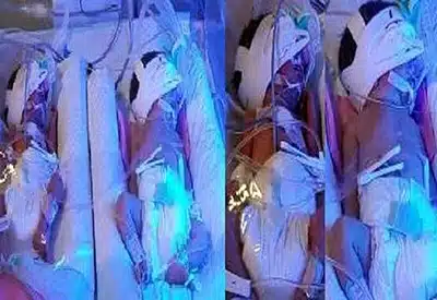 چهار قلو دیواندره ای