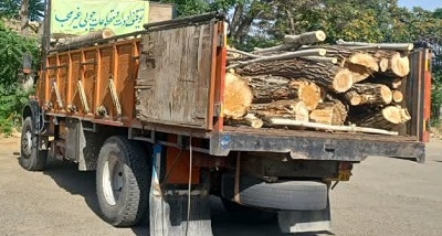کامیون قاچاق چوب در دیواندره