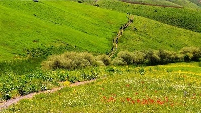 دشت سارال دیواندره